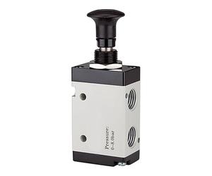 RIEGLER 115974-514.3003 Vanne 3/2 voies avec bouton poussoir 3L G 1/4 850 l/min