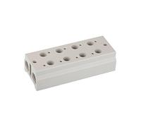 RIEGLER 116229-5510.05-18 Plaque de base multiple pour vannes 3/2 voies 5 positions M5 G 1/8