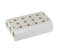 RIEGLER 116244-5520.02-14 Plaque de base multiple pour valves 5/2-5/3 voies, 2 positions, G 1/8, G 1/4