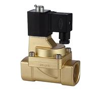 RIEGLER 116569-MV 1571 2/2 voies -MV, 2 kW MS, NO, pré-installé, 24 V DC, G 1/2, PN 0,5-7 bar, 1 pièce