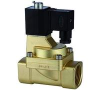 RIEGLER 116573-MV 1573 MV 2/2 voies - 2 kW - MS, NO, préliminaire, 24 V DC, G 1, PN 0,5-7 bar, 1 pièce