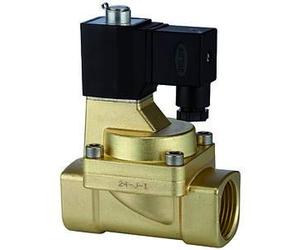 RIEGLER 116573-MV 1573 MV 2/2 voies - 2 kW - MS, NO, préliminaire, 24 V DC, G 1, PN 0,5-7 bar, 1 pièce