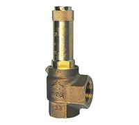 RIEGLER 117639-222.04-11.0 Valve de sécurité d'angle à vapeur de selle G 3/4, pression de contact 11 bar, 1 pièce