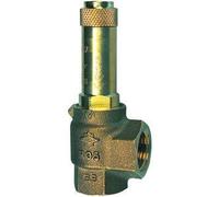 RIEGLER 117644-222.08-0,8 Soupape de sécurité d'angle à vapeur saturée G 2 Pression de réponse 0,8 bar