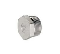 RIEGLER 119330 1.4408-1 bouchon de fermeture hexagonal G 2 AG SW 62 ES
