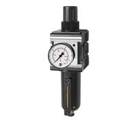 RIEGLER 133110-C 45 M-SR-10 Multifix Régulateur de filtre en métal et tube de vision, BG 4, G 1, 1 pièce