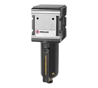 RIEGLER 133114-F 45 M-SR Multifix Filtre en métal et tube de vision, 5 µm, BG 4, G 1, HA