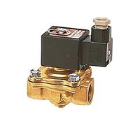 RIEGLER 136141-MV 1227 G/0 2/2 voies -MV., MS, NC, forcé, 24 V DC, Rp 1/2, FKM, PN 0-3 bar, 1 pièce