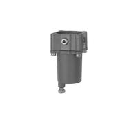 RIEGLER 137352-580FC4-112 Filtre en fonte d'acier inoxydable 1.4401 25 µm BG 4 G 1 1/2