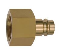 RIEGLER 141573-419.54 Mamelon pour embrayage NW 19 Laiton nu G 3/4 IG 1 pièce