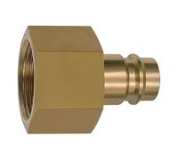 RIEGLER 141574-419.55 Mamelon pour embrayage NW 19 Laiton nu G 1 IG 1 pièce