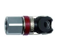 RIEGLER 141598-420.01-SCH-NPT Raccord de sécurité pivotant NW 5,5, ARO 210, acier, NPT 1/4 IG, 1 pièce