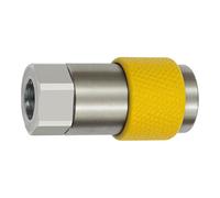 RIEGLER 141874-426.03-DREH-GR Unv. Raccord de sécurité rotatif NW 6, ISO 6150 C, G 1/2 IG, gris