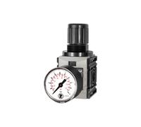 RIEGLER 142403-FUM 7208 Régulateur de pression DV « FUTURA-mini » Standard Mano G 1/4 0,5-8 bar