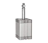 RIEGLER 15.AMA.100010 Série ATE Cylindre compact à action simple, sans pression, tige de piston, piston 100 mm, course 10 mm, raccord G 1/8", tige de piston M16 x 1,25