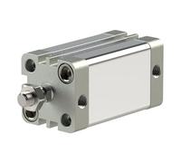 RIEGLER 15.DMA.25025 Série ACE Cylindre compact double action avec aimant piston 25 mm, course 25 mm, raccord M5, tige de piston M8 x 1,25