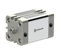RIEGLER Riegler Compacteur double effet, IG, Ø K 80, course 50, G 1/8, 15.DMI.80050 Quantité:1