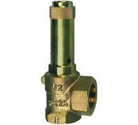 RIEGLER 151164-221.03-13.0 Valve de sécurité d'angle G 1/2 Pression de contact 13 bar 1 pièce