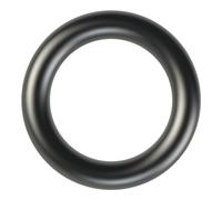 RIEGLER 155238-488.4.942 Joint de rechange pour régulateur de pression de bouteille 300 bar, tous types de gaz, 1 pièce