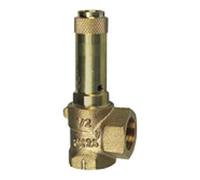RIEGLER 221.08-7.5 Valve de sécurité d'angle pour liquides Raccord G 2" Pression de réponse 7,5 bar
