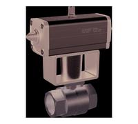 RIEGLER 351.509-2 Robinet à bille en acier inoxydable avec entraînement pneumatique à double action Rp 1/2