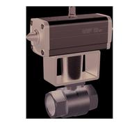 RIEGLER Riegler Actionneur pneumatique en acier inoxydable KH, NAMUR, double effet, Rp 3/4 Quantité:1