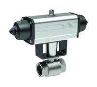RIEGLER 351.523-1 Robinet à bille en acier inoxydable avec entraînement pneumatique à la pointe du nomUR - Simple action Rp 1 1/2