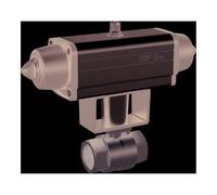 RIEGLER 351.524-1 Robinet à bille en acier inoxydable avec entraînement pneumatique à la pointe du nomUR et facile à utiliser Rp 2