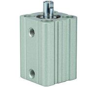 RIEGLER ACQ 115056-12.DMI.12050 Cylindre de levage court à double action avec piston Ø 12, course 50, M5 x 0,8, 1 pièce