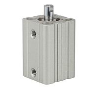 RIEGLER ACQ 115058-12.DMI.16010 Cylindre de levage court à double action avec piston Ø 16, course 10, M5 x 0,8, 1 pièce