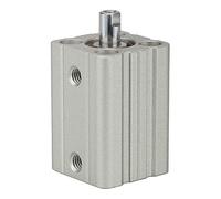 RIEGLER ACQ 115065-12.DMI.16050 Cylindre de levage court à double action avec piston Ø 16, course 50, M5 x 0,8, 1 pièce