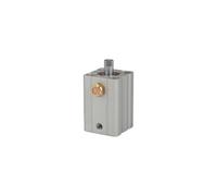 RIEGLER ASQ 115166-12.EM.12005 Cylindre de levage court à action simple, piston Ø 12, course 5, M5 x 0,8, 1 pièce