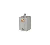 RIEGLER ASQ 115172-12.EM.16015 Cylindre de levage court à action simple, piston Ø 16, course 15, M5 x 0,8, 1 pièce