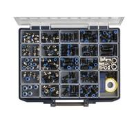 RIEGLER Boîte d'assortiments RIEGLER 171 pcs Quantité:1
