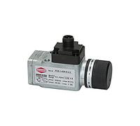 Riegler - Commutateur de pression du PDS, G 1/4, contact de commutation, depuis 1.0 jusqu'à 16 bar, M12 x 1 ri-ds5823