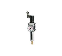 RIEGLER FU 824-1 Futura Régulateur de filtre avec réservoir en polycarbonate, panier de protection et manomètre, entièrement automatique, taille 2, 0,1-1 bar, G 1/2"