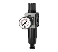 RIEGLER FUTURA-mini 142428-FUM 811 M-10 Régulateur de filtre en métal Std.mano, HA, G 1/4, 0,5-10, 1 pièce