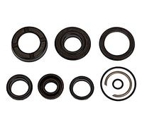 RIEGLER Kit d'étanchéité 106171-235.16-M pour cylindre compact, piston Ø 25, joint en polyuréthane, 1 pièce