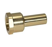 RIEGLER Manchon à visser RIEGLER laiton IG 3/4 BSP pour tube diamètre extérieur 22 mm Quantité:1
