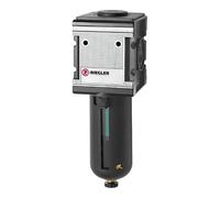 RIEGLER Multifix 133146-FM 45 S Microfiltre avec réservoir PC, panier de protection, BG 4, G 1, 1 pièce