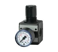 RIEGLER RIEGLER Pressostat 0,5 -10 bars 3/8 Pouces Quantité:1