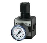RIEGLER 100429-R 34-10 Multifix Régulateur de pression avec manomètre BG 3, G 3/4 0,5-10 bar