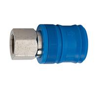 RIEGLER Riegler Accouplement de sécurité NW 7,4, type KE, laiton verni, G 1/4 IG Quantité:1