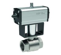 RIEGLER Riegler Actionneur pneumatique en inox KH selon NAMUR, double effet, Rp 3/8 Quantité:1