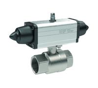 RIEGLER Riegler Actionneur pneumatique en laiton KH selon NAMUR, simple effet, Rp 3/8 Quantité:1