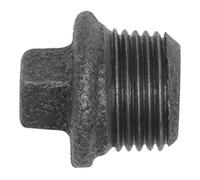 RIEGLER Riegler Bouchon 290, avec rebord, R 1/4 a. Fonte malléable noire Quantité:1