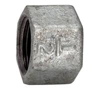 RIEGLER Riegler Bouchon 300, IG, Rp 2, fonte malléable noire galvanisée à chaud Quantité:1