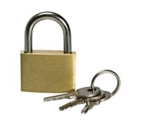 RIEGLER Riegler Cadenas en laiton 50 mm, anse Ø 6 mm, avec 3 clés Quantité:1