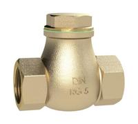 RIEGLER Riegler Clapet anti-retour, DN 20, bronze rouge, G 3/4, PN max. 16 bar Quantité:1