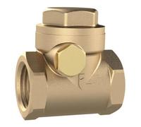 RIEGLER Riegler Clapet anti-retour, DN 40, MS, étanchéité souple, G 1 1/2, PN 10 bar Quantité:1